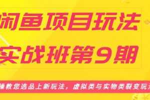闲鱼项目玩法实战班第9期（二）选品四步骤与四种变现方法，引流到微信方法