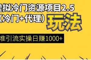 虚拟冷门资源项目（冷门及代理玩法） 精准引流实操日赚1000+(完结)