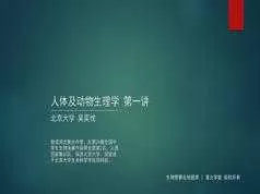 高中生物竞赛课人体及动物生理学知识点题库讲解教学视频(吴弈忱 4讲)