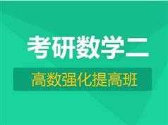 高等数学考研重要考点知识串讲全套教学视频（童老师 23集）