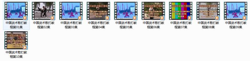 中国武术散打教程视频教