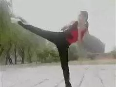 中国武术散打教程视频教学_武术自学教程