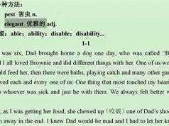 抗遗忘英语单词1-5月_快速积累英语词汇附课程讲义