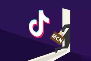 参哥出品：抖音MCN孵化课程