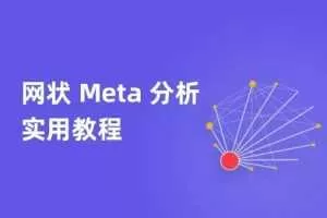 网状Meta分析实用教程