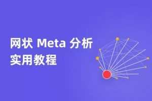 网状Meta分析实用教程