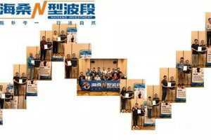 海桑 陈金辉2020年《职业操盘手 全年交易揭秘》期货课程