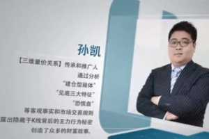 孙凯三维量价关系视频课程 17课