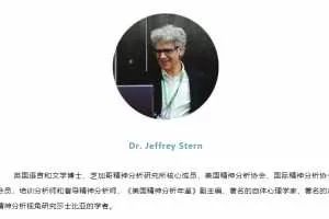 Jeffrey Stern科胡特自体心理学十讲