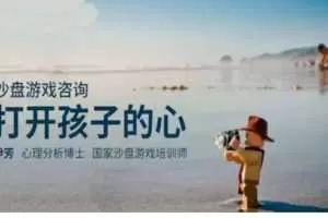 尹芳 打开孩子的心 沙盘游戏疗法设置与操作