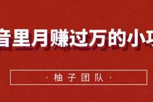 抖音里月赚过万的小项目，永不过时的高利润玩法