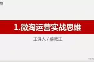 牛气学堂 微淘运营实战指南