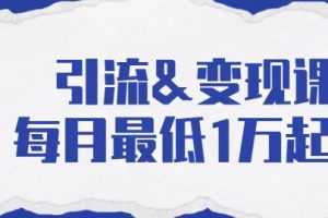 引流变现课：分享一整套流量方法以及各个渠道收入，每月最低1万起