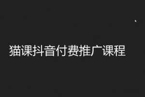 高手篇：玩赚抖音付费推广红利