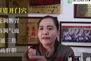 2020年脏腑推拿点穴课程初级班+专业班完整视频课程