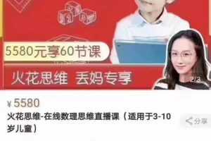 火花思维L4 数学思维培养