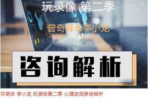 曾奇峰李小龙玩录像第二季心理咨询录像解析18集视频+解析音频
