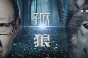 郭海培2021年掌上财金-孤狼战法 20堂课