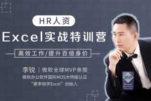 HR人资Excel实战特训营  快速提升百倍身价
