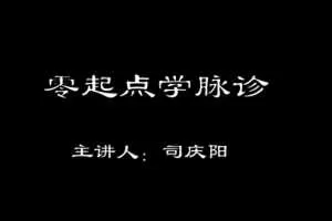 司庆阳—零起点学脉诊，中医脉诊自学零基础入门
