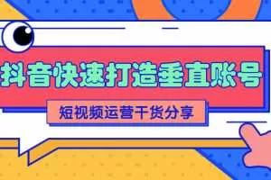 抖音快速打造垂直账号，短视频运营干货分享【视频课程】
