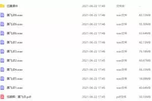 伍朝辉-腾飞点特训班 音频+讲义