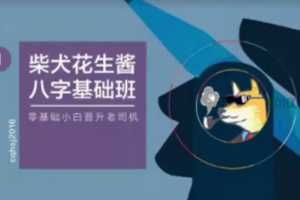 柴犬花生酱八字基础班送速成