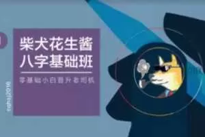 柴犬花生酱八字基础班送速成