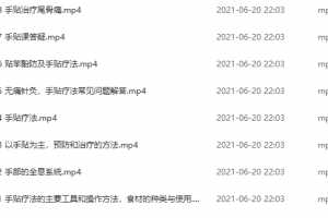 张建朝博士手贴疗法系列讲座