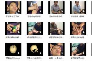 颅骶疗法2020在线网课34节手法实操高清干货演示送温普成颅骶手法
