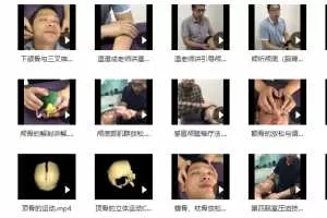 颅骶疗法2020在线网课34节手法实操高清干货演示送温普成颅骶手法