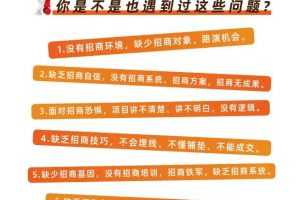 王昕《引爆招商》32集 流量是一切生意的本质