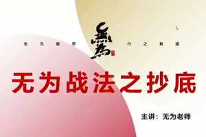 无为老师无为战法《逃顶抄底必修课》