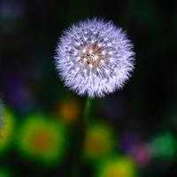 2020山中策市三期·A股独立走势启航