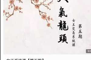 2021年低吸女王五期 女王低吸人气龙头女王交易系统课