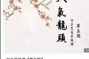 2021年低吸女王五期 女王低吸人气龙头女王交易系统课