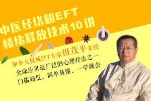 田茂平：中医经络理论和EFT情绪释放技术10讲
