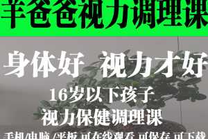 羊爸爸16岁以下孩子的视力保健调理课