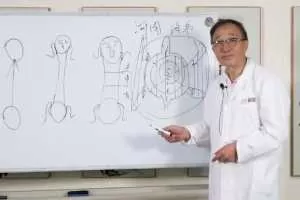 张德成2020全息疗法