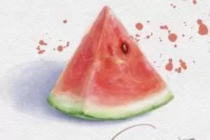 2020年诗乔水彩ipad插画课水果+甜品【画质高清有笔刷】