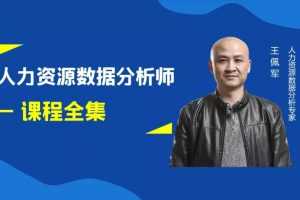 王佩军人力资源数据分析系列 – 课程全集