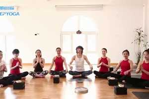 范思成瑜伽 能量提升序列-倒立+后弯 4节课