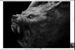 顾佳艺造型与色彩第七期中级班叁籽版