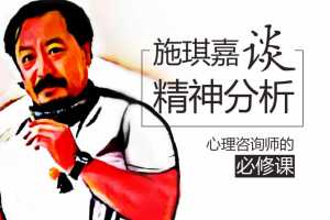 施琪嘉 一段精神分析的长程之旅——精分一年制进阶课50讲音频