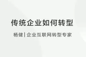 【互联网+】杨健：传统企业如何转型