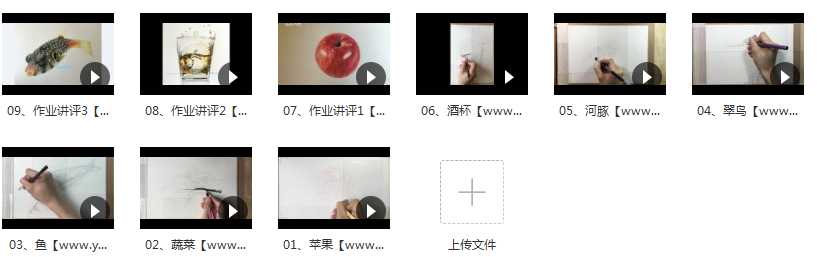 超写实的彩铅动物画视频_彩铅手绘超写实目录