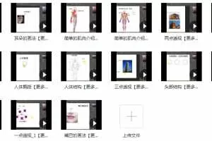 原画人体设计零基础学习视频教程