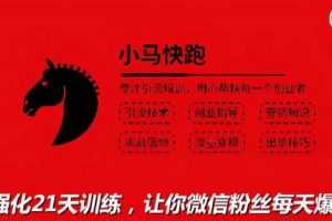 小马快跑引流培训高级课：被动引流日均100+精准客户，让你微信粉丝每天爆满