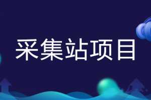 采集站项目教程会员课程年赚十万（2020完结）