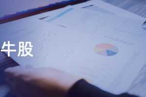 JavaEE企业级实战项目 智牛股（资料完整）